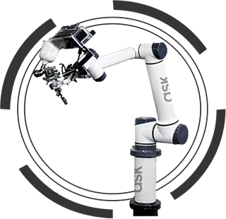 ASK ROBOTICS NST PAINTING ROBOT - K1